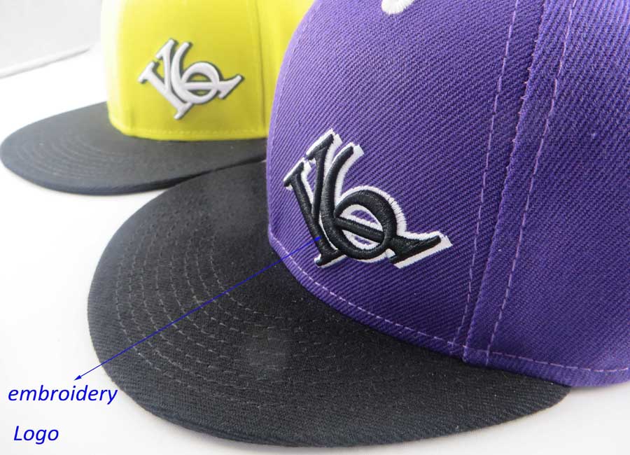 embroidery logo snapback cap